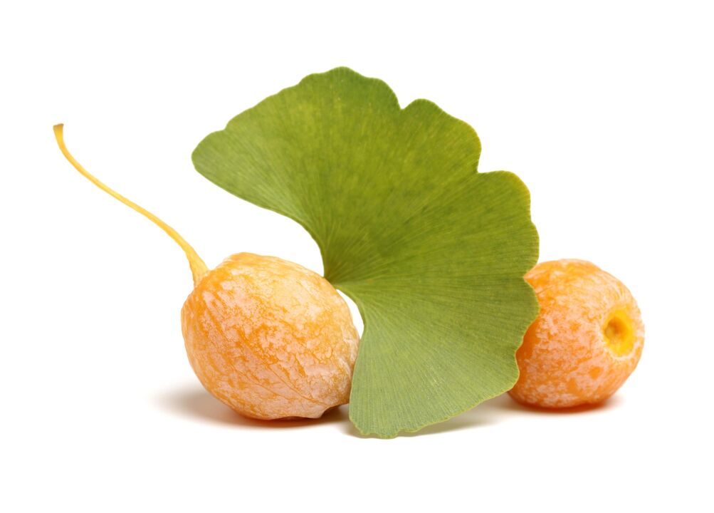 Ginkgo Biloba în Erectil